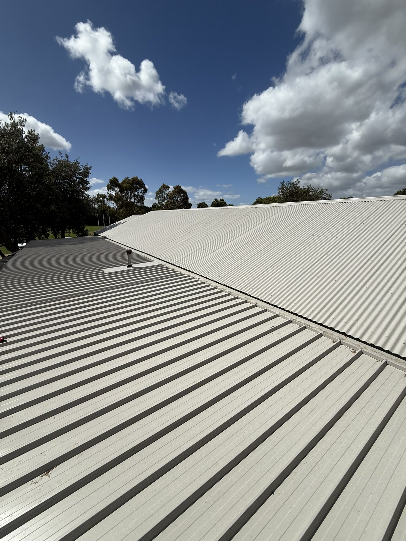 Finished roof detail at Woodleigh College